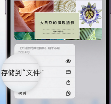 宝山apple维修中心分享iPhone文件应用中存储和找到下载文件